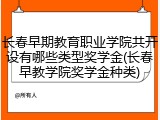 长春早期教育职业学院共开设有哪些类型奖学金(长春早教学院奖学金种类)