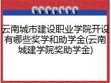 云南城市建设职业学院开设有哪些奖学和助学金(云南城建学院奖助学金)