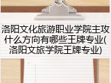 洛阳文化旅游职业学院主攻什么方向有哪些王牌专业(洛阳文旅学院王牌专业)