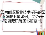云南能源职业技术学院的图书馆藏书量如何，简介(云南能源职院图书馆藏书)
