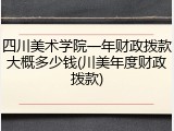 四川美术学院一年财政拨款大概多少钱(川美年度财政拨款)
