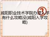 咸阳职业技术学院办理入学有什么攻略没(咸阳入学攻略)