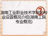 湖南工业职业技术学院的专业设置概况介绍(湖南工院专业概览)