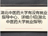 湖北中医药大学有没有就业指导中心，详细介绍(湖北中医药大学就业指导)
