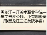 黑龙江三江美术职业学院一年学费多少钱，还有哪些费用(黑龙江三江美院学费)