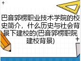 巴音郭楞职业技术学院的校史简介，什么历史与社会背景下建校的(巴音郭楞职院建校背景)
