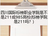 四川国际标榜职业学院是不是211或985高校(标榜学院是211吗？)