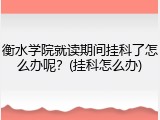 衡水学院就读期间挂科了怎么办呢？(挂科怎么办)