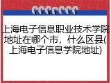 上海电子信息职业技术学院地址在哪个市，什么区县(上海电子信息学院地址)