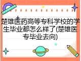 楚雄医药高等专科学校的学生毕业都怎么样了(楚雄医专毕业去向)