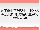 枣庄职业学院毕业生就业大致去向如何(枣庄职业学院就业去向)