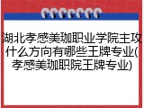 湖北孝感美珈职业学院主攻什么方向有哪些王牌专业(孝感美珈职院王牌专业)