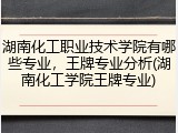 湖南化工职业技术学院有哪些专业，王牌专业分析(湖南化工学院王牌专业)