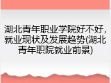 湖北青年职业学院好不好，就业现状及发展趋势(湖北青年职院就业前景)