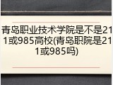 青岛职业技术学院是不是211或985高校(青岛职院是211或985吗)