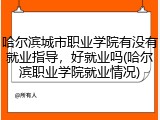 哈尔滨城市职业学院有没有就业指导，好就业吗(哈尔滨职业学院就业情况)