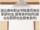湖北青年职业学院是否有在职研究生,报考条件如何(湖北在职研究生报考条件)