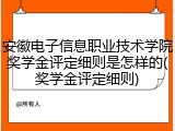 安徽电子信息职业技术学院奖学金评定细则是怎样的(奖学金评定细则)