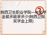 皖西卫生职业学院一年奖学金最多能拿多少(皖西卫院奖学金上限)