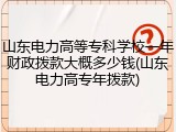 山东电力高等专科学校一年财政拨款大概多少钱(山东电力高专年拨款)
