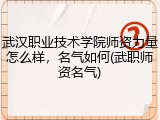 武汉职业技术学院师资力量怎么样，名气如何(武职师资名气)