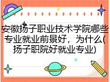 安徽扬子职业技术学院哪些专业就业前景好，为什么(扬子职院好就业专业)