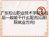 广东松山职业技术学院毕业后一般能干什么呢(松山职院就业方向)