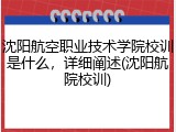 沈阳航空职业技术学院校训是什么，详细阐述(沈阳航院校训)