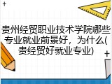 贵州经贸职业技术学院哪些专业就业前景好，为什么(贵经贸好就业专业)