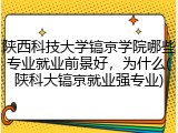 陕西科技大学镐京学院哪些专业就业前景好，为什么(陕科大镐京就业强专业)