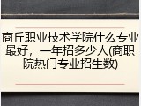 商丘职业技术学院什么专业最好，一年招多少人(商职院热门专业招生数)