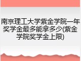 南京理工大学紫金学院一年奖学金最多能拿多少(紫金学院奖学金上限)