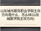 山东城市服务职业学院主攻方向是什么，怎么样(山东城服学院主攻方向)