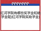 红河学院有哪些奖学金和助学金呢(红河学院奖助学金)