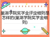 巢湖学院奖学金评定细则是怎样的(巢湖学院奖学金细则)