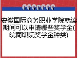 安徽国际商务职业学院就读期间可以申请哪些奖学金(皖商职院奖学金种类)