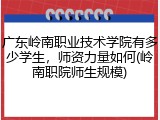 广东岭南职业技术学院有多少学生，师资力量如何(岭南职院师生规模)
