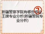 新疆警察学院有哪些专业，王牌专业分析(新疆警院专业分析)