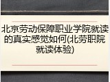 北京劳动保障职业学院就读的真实感觉如何(北劳职院就读体验)