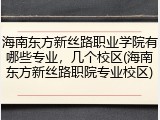 海南东方新丝路职业学院有哪些专业，几个校区(海南东方新丝路职院专业校区)