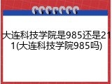 大连科技学院是985还是211(大连科技学院985吗)