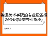 鲁迅美术学院的专业设置概况介绍(鲁美专业概览)