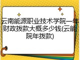 云南能源职业技术学院一年财政拨款大概多少钱(云能院年拨款)