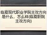 临夏现代职业学院主攻方向是什么，怎么样(临夏职院主攻方向)