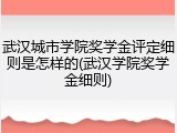 武汉城市学院奖学金评定细则是怎样的(武汉学院奖学金细则)