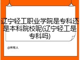 辽宁轻工职业学院是专科还是本科院校呢(辽宁轻工是专科吗)