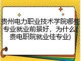 贵州电力职业技术学院哪些专业就业前景好，为什么(贵电职院就业佳专业)