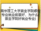 南京理工大学紫金学院哪些专业就业前景好，为什么(紫金学院好就业专业)