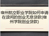 宿州航空职业学院如何申请在读间的创业无息贷款(宿州学院创业贷款)
