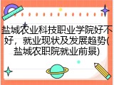 盐城农业科技职业学院好不好，就业现状及发展趋势(盐城农职院就业前景)
